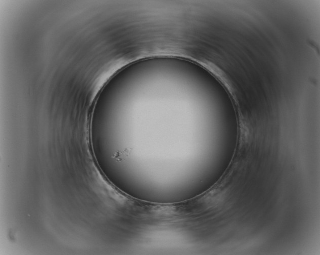X0000103421006200809191633
