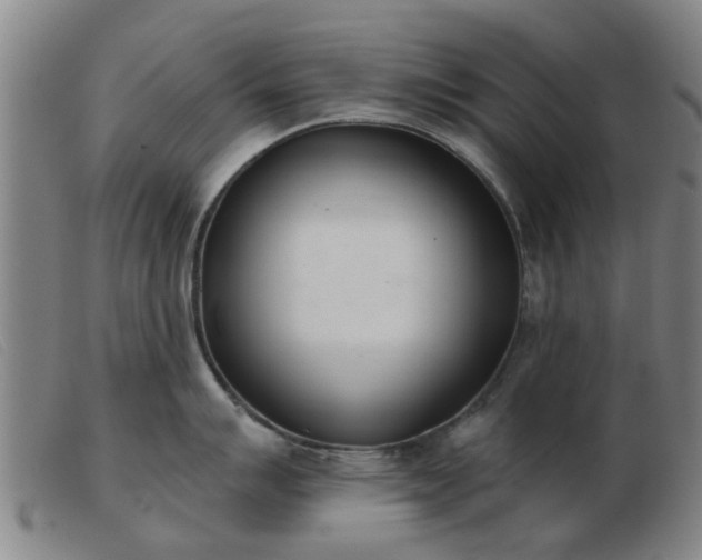 X0000103421007200809191633