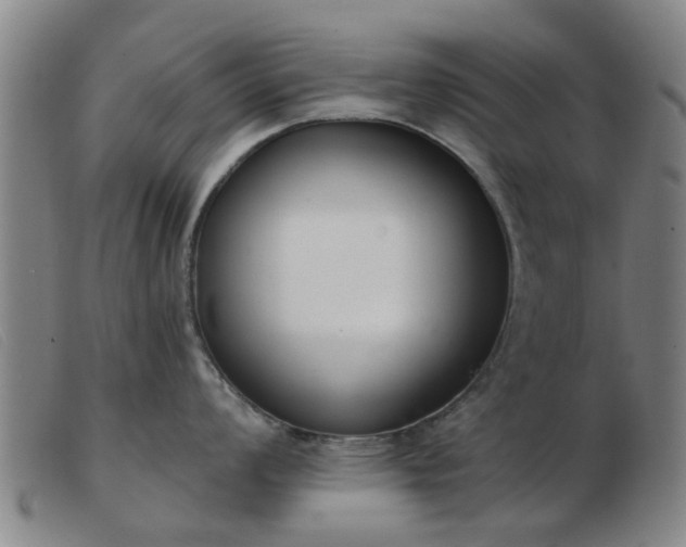 X0000103421008200809191633