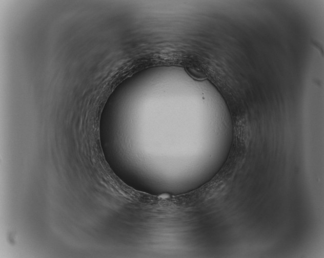 X0000103421009200809191632