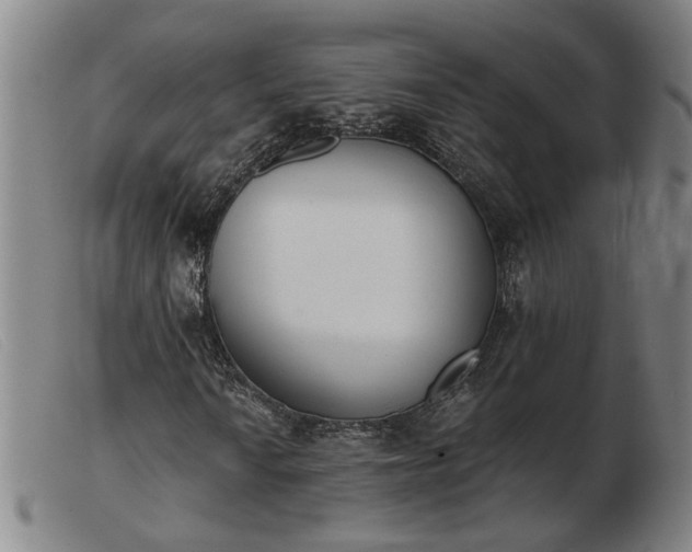 X0000103421010200809191632