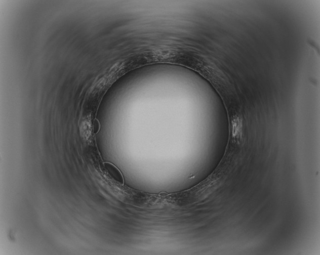 X0000103421011200809191632