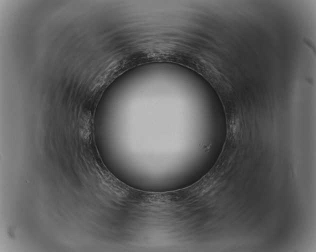 X0000103421012200809191632