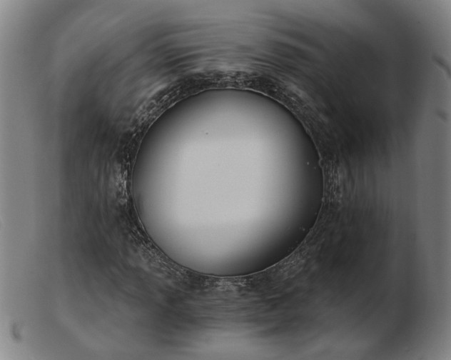 X0000103421013200809191632