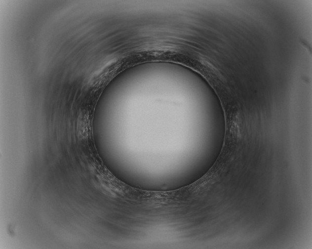 X0000103421014200809191632