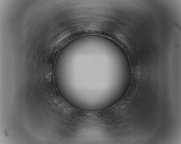 X0000103421015200809191632