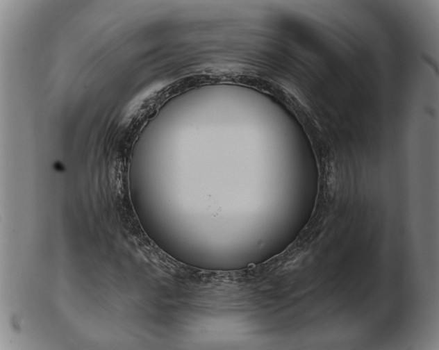 X0000103421016200809191632