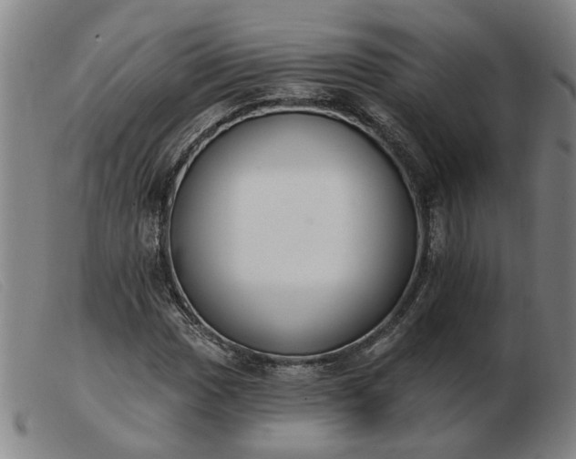 X0000103421017200809191632