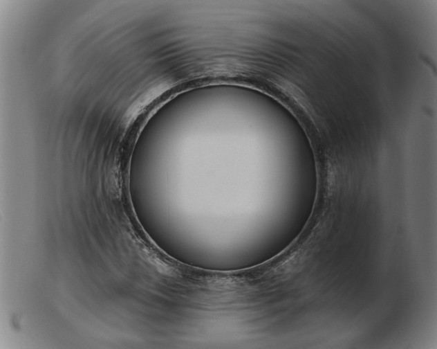 X0000103421018200809191632