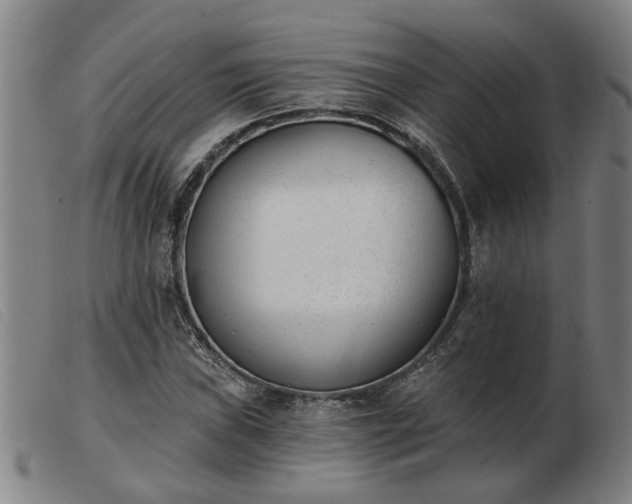 X0000103421019200809191632