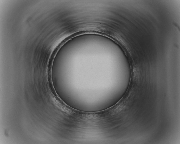 X0000103421020200809191632