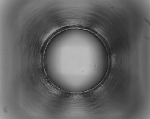 X0000103421021200809191632
