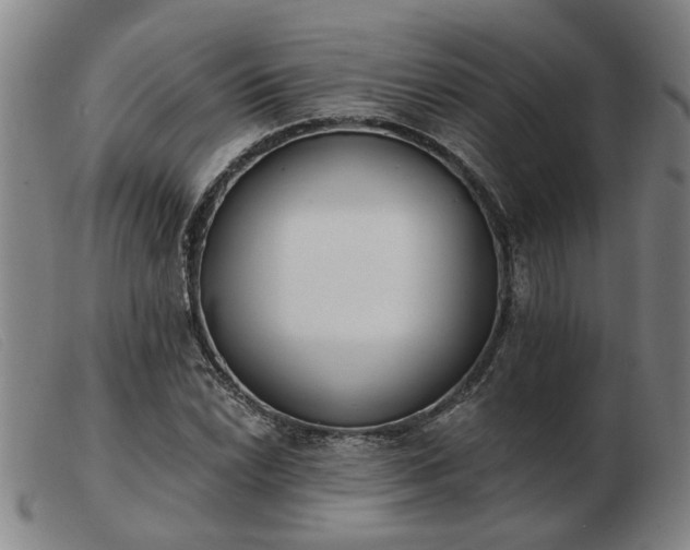 X0000103421022200809191632