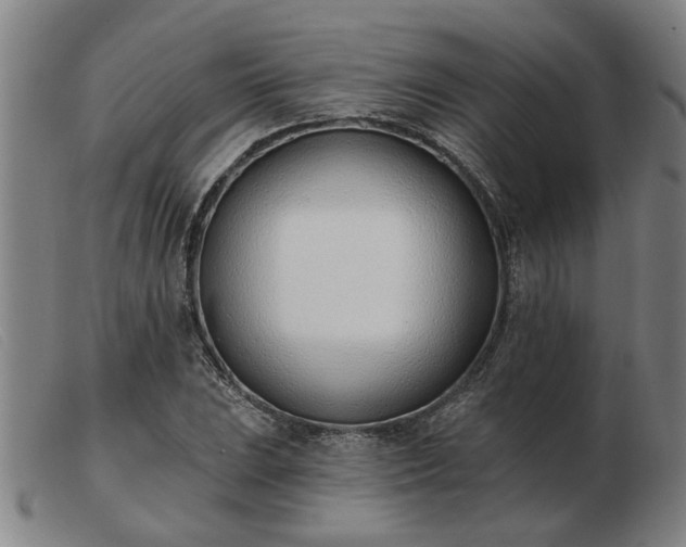 X0000103421023200809191632