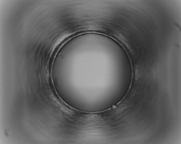 X0000103421024200809191632