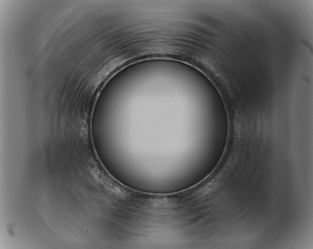 X0000103421025200809191632