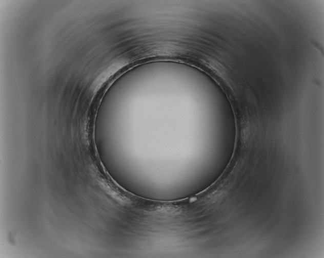 X0000103421026200809191632