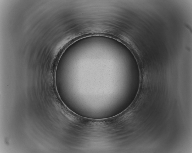 X0000103421027200809191632