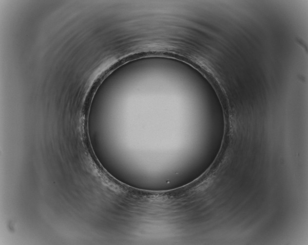 X0000103421029200809191632