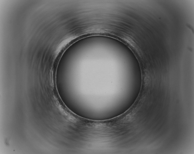 X0000103421030200809191632