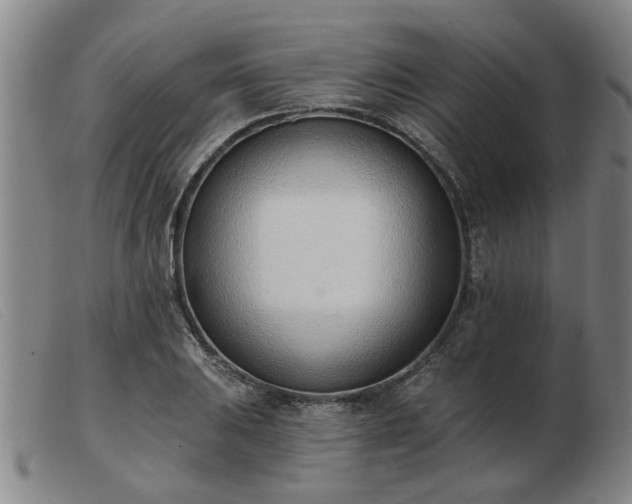 X0000103421031200809191632