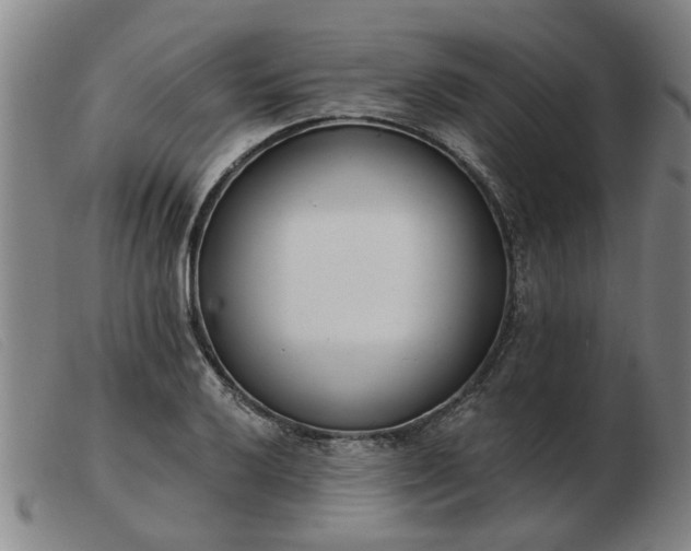 X0000103421032200809191632