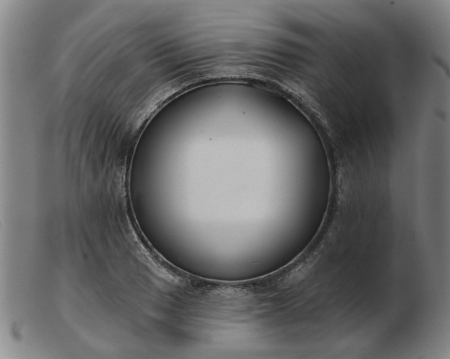 X0000103421033200809191632