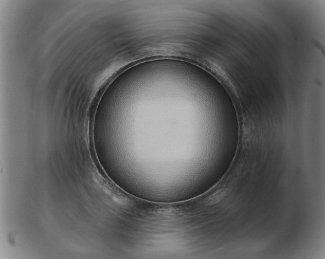 X0000103421035200809191632