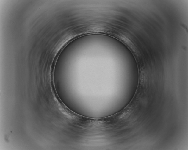 X0000103421039200809191633