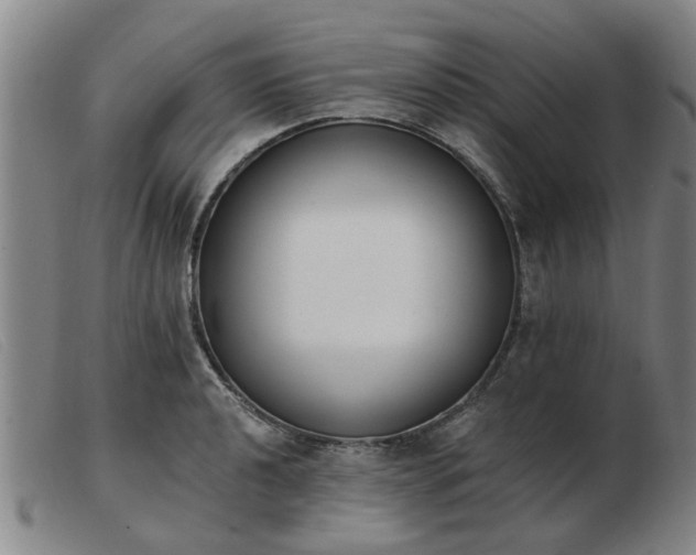 X0000103421040200809191633