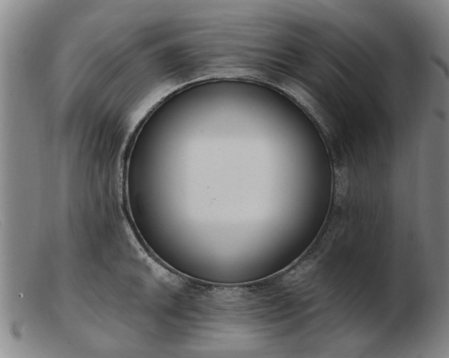 X0000103421046200809191633