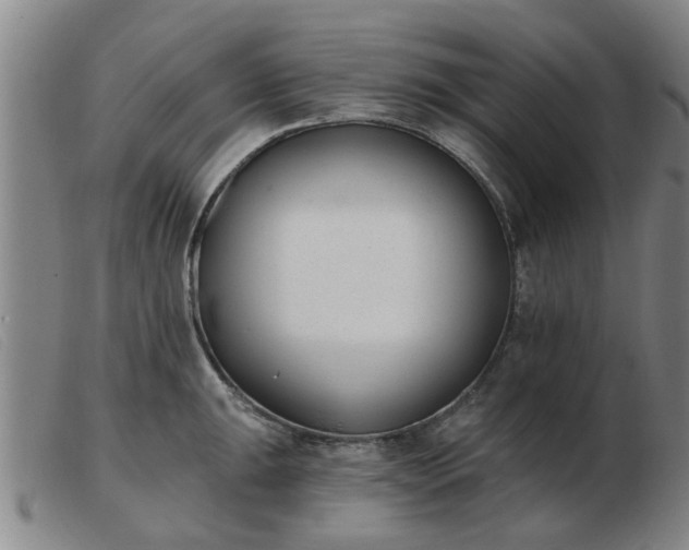 X0000103421047200809191633