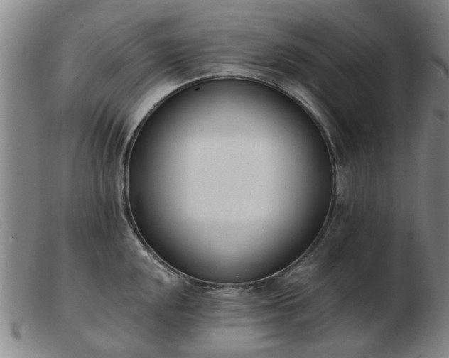 X0000103421048200809191633