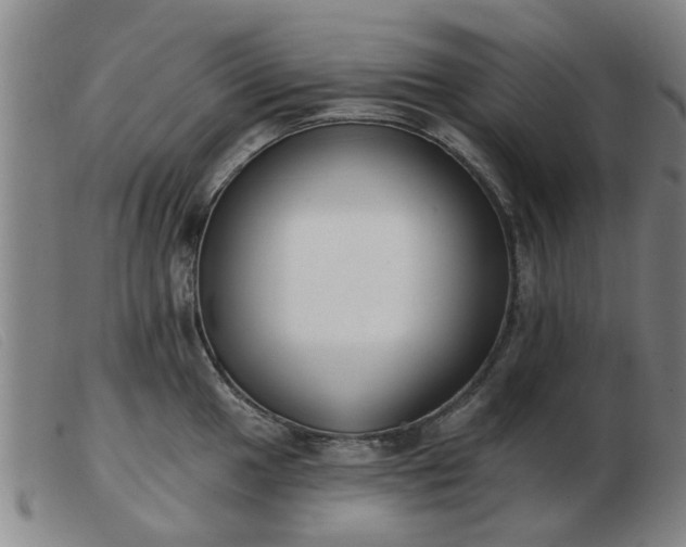 X0000103421049200809191633