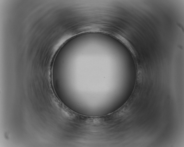 X0000103421051200809191633