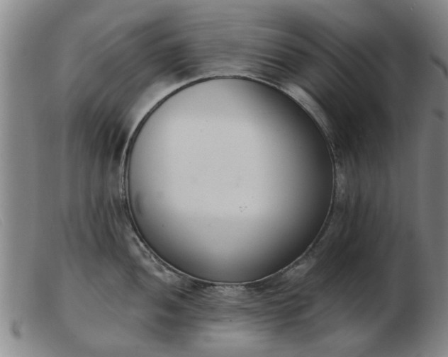 X0000103421052200809191633