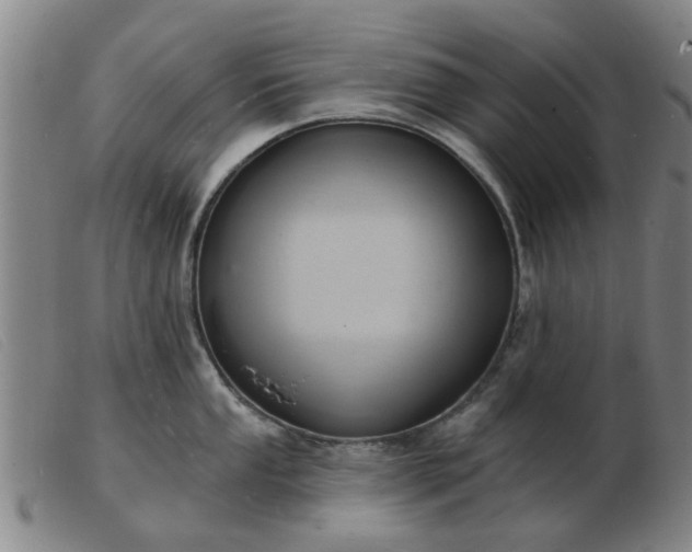 X0000103421053200809191633
