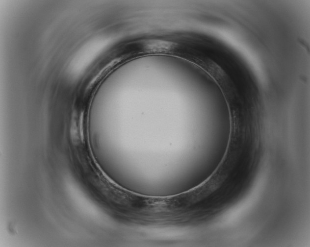 X0000103421054200809191633