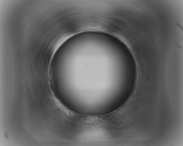 X0000103421056200809191633