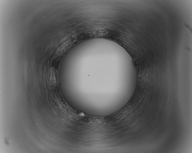 X0000103421058200809191632