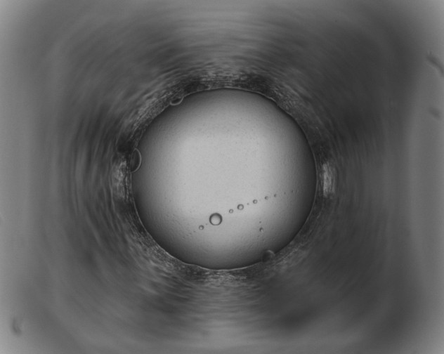 X0000103421059200809191632