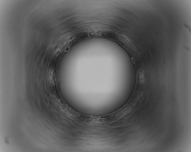 X0000103421060200809191632