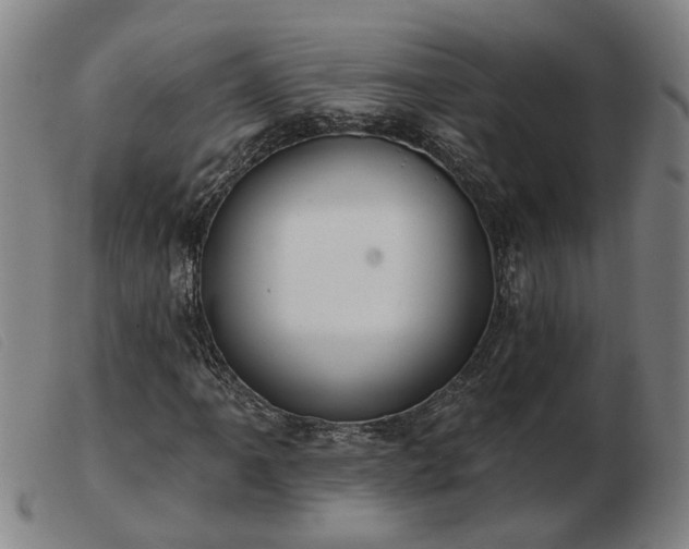 X0000103421061200809191632