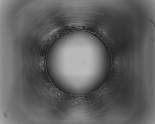 X0000103421062200809191632