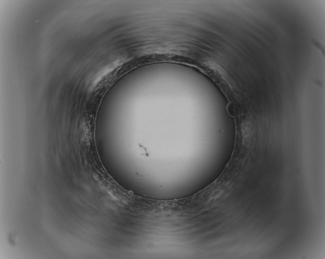 X0000103421064200809191632