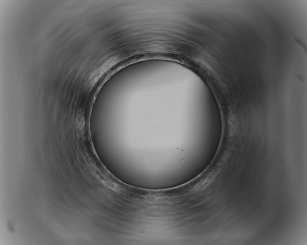 X0000103421065200809191632