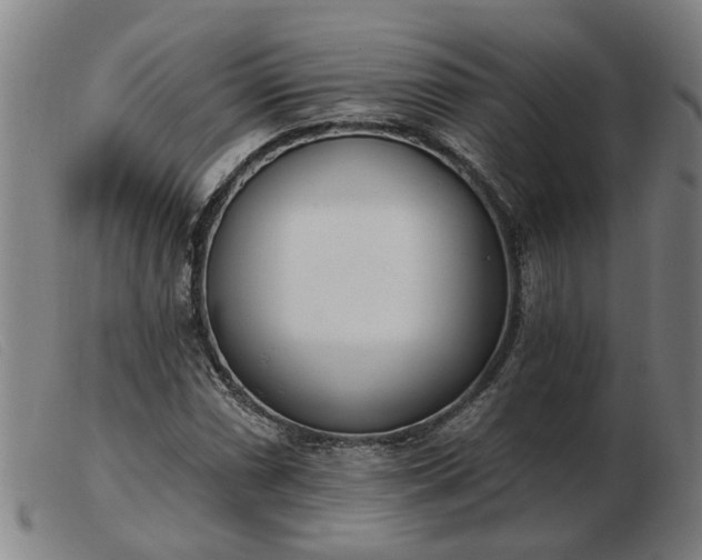 X0000103421066200809191632