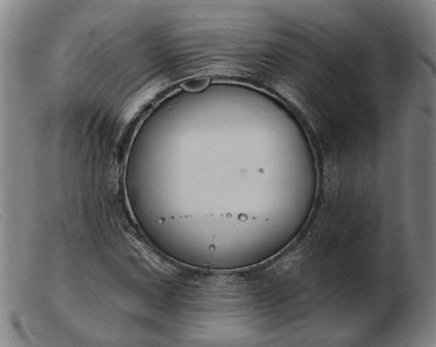 X0000103421067200809191632