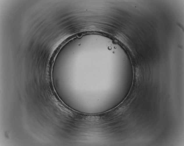 X0000103421068200809191632