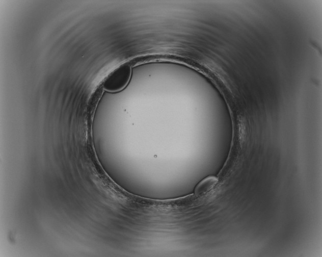 X0000103421069200809191632